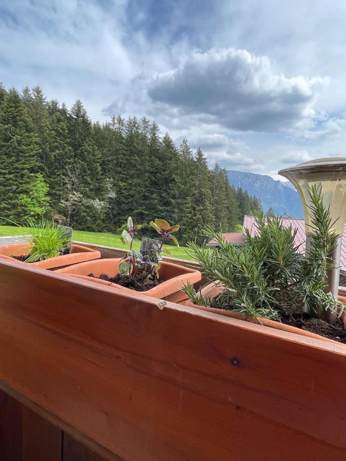 Ferienhaus Praschberg Niederndorferberg Bagian luar foto